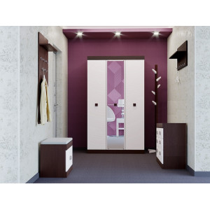 Set pentru holul de intrare Sonata 19 cu oglinda, Wenge inchis, Alb