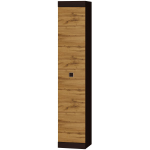 Penal inchis Sonata, Wenge inchis, Stejar kraft gold